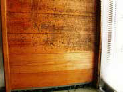 換気の悪い室内や浴室の木部・漆喰等の汲水率高い塗装面にはカビが発生します